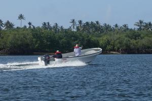 YAMAHA W24