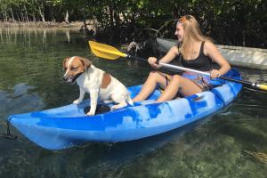 KAYAKS