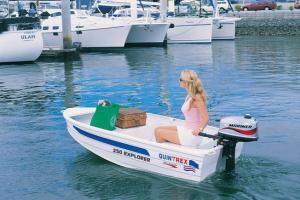 QUINTREX EXPLORER 250